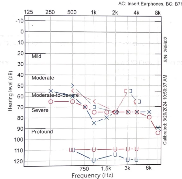 Audiogram 2024 Costco