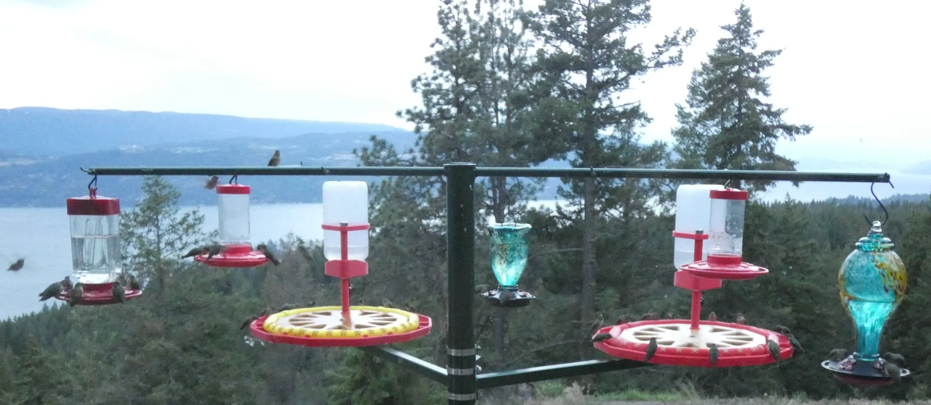 hummers 38